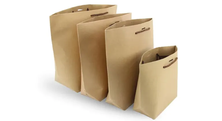 BROWN Paper Bags