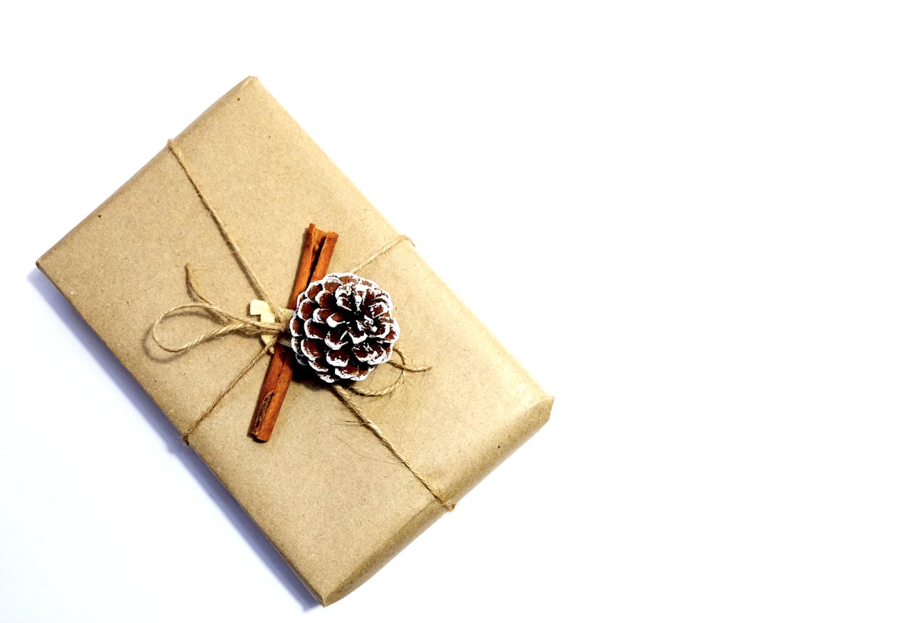 services-01 Minimalist eco-friendly Christmas gift wrapped with kraft paper, pine cone, and cinnamon stick.